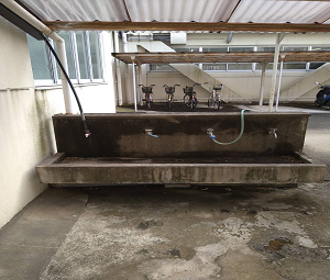 �C���[�W01