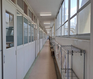 �C���[�W01